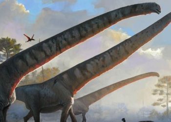 15 metre boyunlu dinozorlar, doğa kanunlarına meydan okuyordu