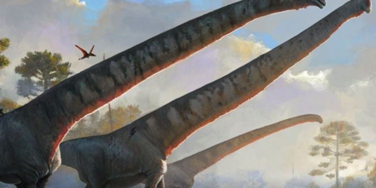 15 metre boyunlu dinozorlar, doğa kanunlarına meydan okuyordu