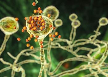 ABD’de kara mantar hastalığı ‘acil tehdit’ uyarısı yapıldı