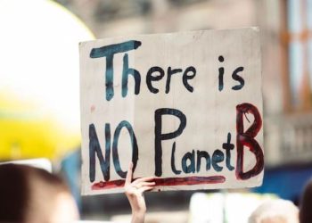 Bilim insanları, aksiyon alınması için geç kalınacağı söylüyor