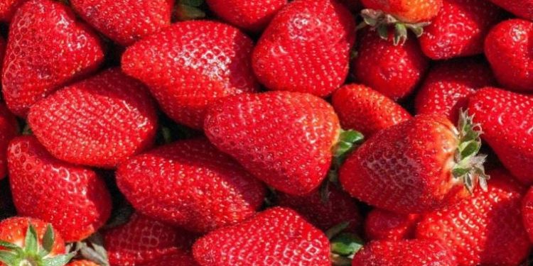 Çilek yerken dikkat edin. Böyle tüketilmesi karaciğeri bitiriyor