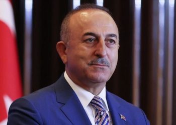 Dışişleri Bakanı Çavuşoğlu, Mısırlı mevkidaşı Şukri’yi Türkiye’ye davet ettiğini duyurdu