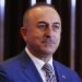 Dışişleri Bakanı Çavuşoğlu, Mısırlı mevkidaşı Şukri’yi Türkiye’ye davet ettiğini duyurdu
