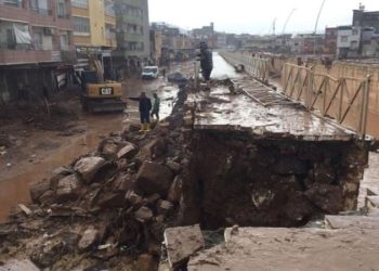 Diyarbakır’da sel felaketinin ardından balıklar oksijensiz kalarak boğuldu