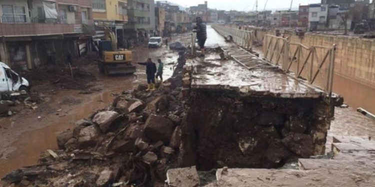 Diyarbakır’da sel felaketinin ardından balıklar oksijensiz kalarak boğuldu
