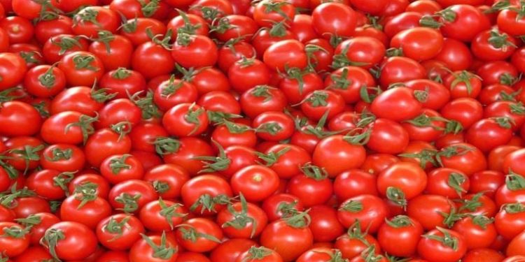 Domates tehlikesi.. Yıllarca bilmeden yanlış tüketmişiz..