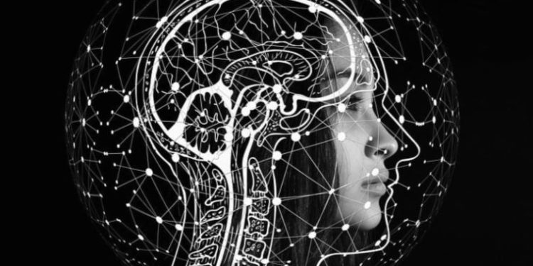 Hangi anadili konuştuğunuz beyin yapınızı belirliyor