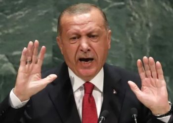 HKP’den Erdoğan’ın diplomasıyla ilgili Türkiye Noterler Birliği’ne başvuru
