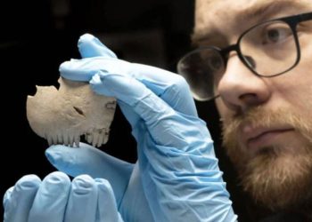 İnsan kafatasından yapılmış tarak bulundu!