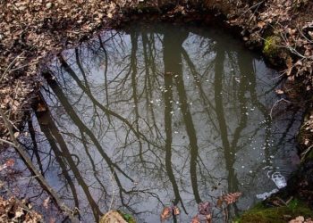 İşi bittiğinde eriyip suya dönüşen casus robotlar yolda