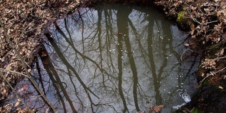 İşi bittiğinde eriyip suya dönüşen casus robotlar yolda