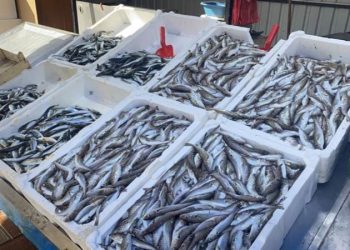 Ramazan’da çupra ve somona rağbet bekleniyor