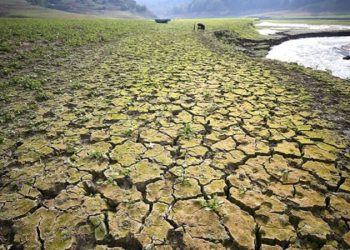 Uzmanı uyardı: ‘Yaz ayları kolay geçmeyecek’