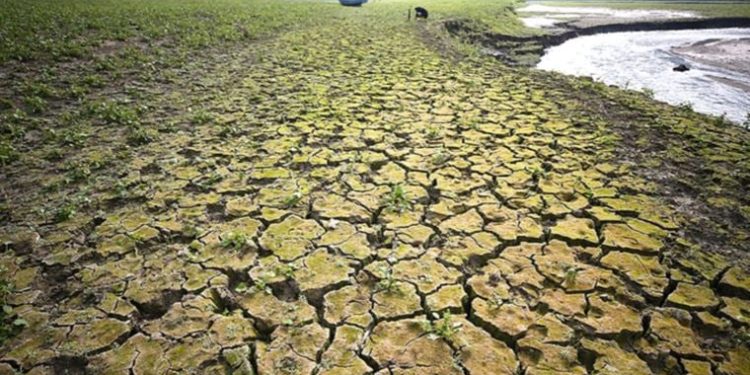 Uzmanı uyardı: ‘Yaz ayları kolay geçmeyecek’