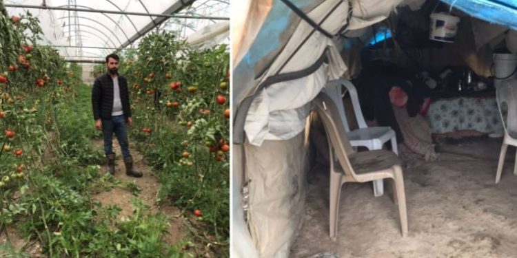 Vicdanları köreldi: Depremzedenin emeğine çöktüler