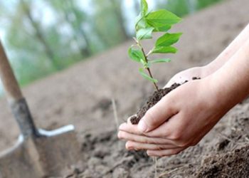 Yerleşim ve üretim alanları mevcut haliyle doğayla uyumlu değil