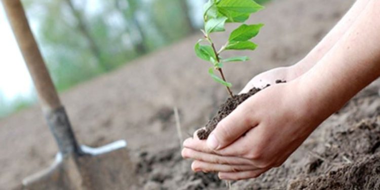 Yerleşim ve üretim alanları mevcut haliyle doğayla uyumlu değil