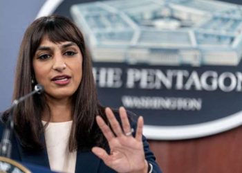 ABD’den Nijer açıklaması: Bölge için kritik bir ortak