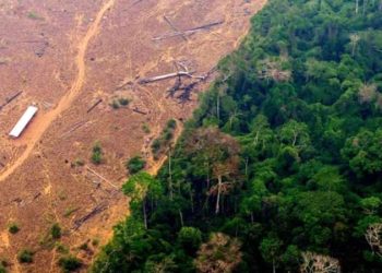 Brezilya lideri Lula, Amazon’a nefes aldırdı