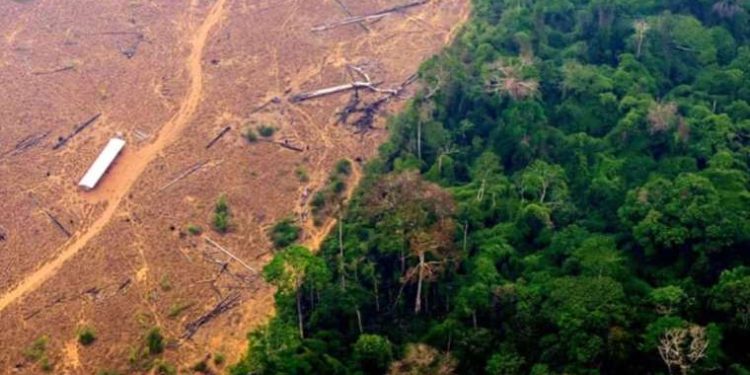 Brezilya lideri Lula, Amazon’a nefes aldırdı