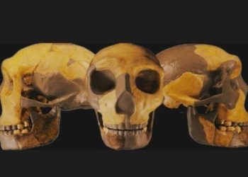 Mağarada bulunan kalıntılar bilinmeyen insan soyuna ait çıktı