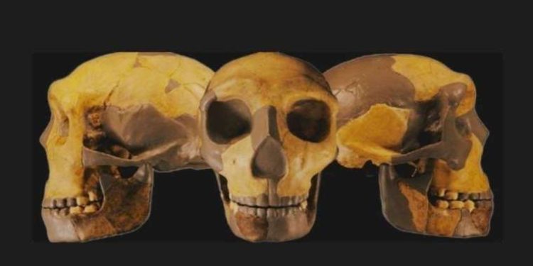 Mağarada bulunan kalıntılar bilinmeyen insan soyuna ait çıktı