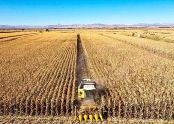 Tarımda ithalat, ihracatı geçti! Üst üste iki ay dış ticaret açığı verdi