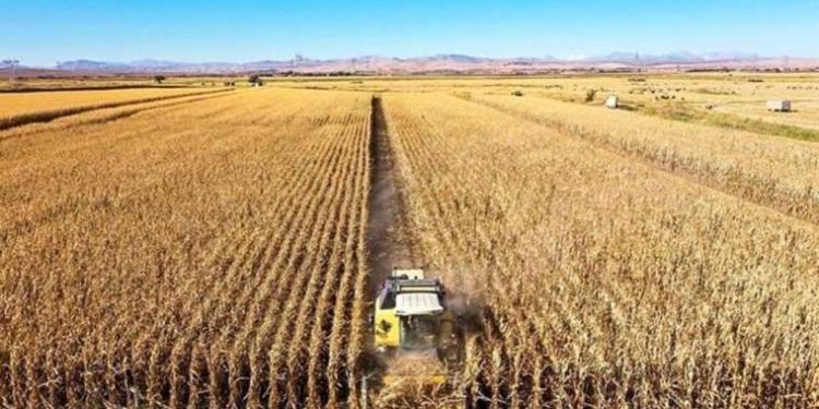 Tarımda ithalat, ihracatı geçti! Üst üste iki ay dış ticaret açığı verdi