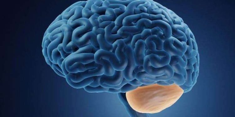 Ataksi hastalığı: ‘Bir kat merdiven çıkmak, Everest’e tırmanmak gibi olmamalı’