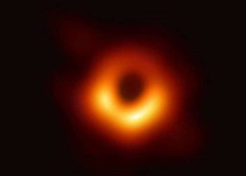 Fotoğrafı çekilen karadelik hareket ediyor!