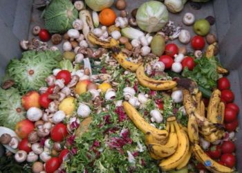 Gıda krizine karşı “Gıda Dostu Mutfağım” projesi başladı