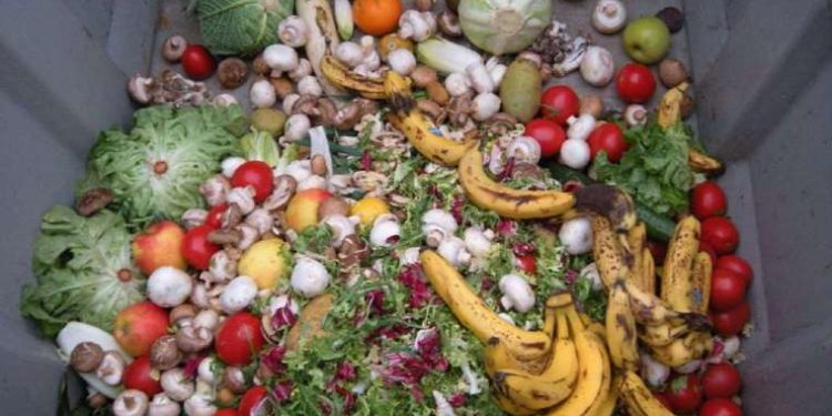 Gıda krizine karşı “Gıda Dostu Mutfağım” projesi başladı