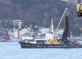 Marmara Denizi’nin ekosistemi için yeni tehlike: Gırgır avı sınırlanmalı