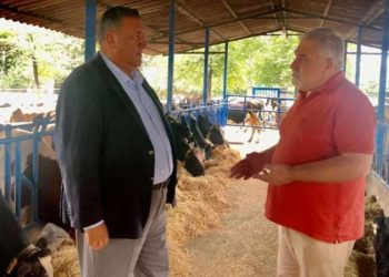 CHP’li Gürer: ‘Hayvancılıkta ithalde çözüm olmuyor’