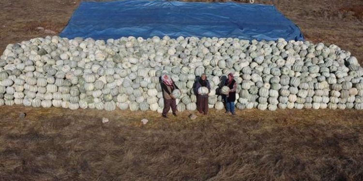 Çiftçi kadınlar kendi ürünlerini tanıtmanın gururunu yaşıyor