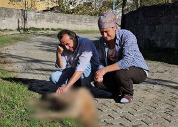 Evinin bahçesinde baktığı köpekler darbedilip, öldürüldü!