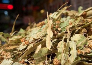 İçince rahatlatıyor! 50 gramı 20 TL