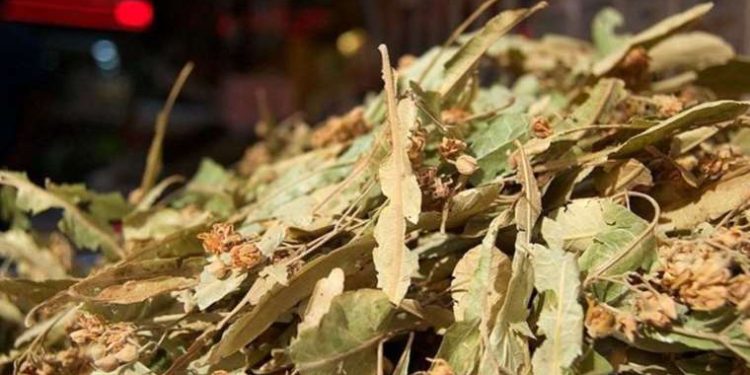 İçince rahatlatıyor! 50 gramı 20 TL