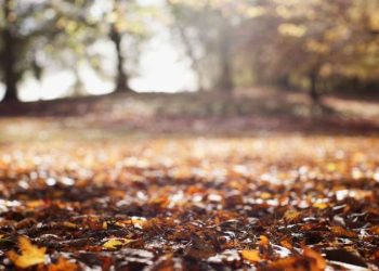 Sonbaharda daha sık hastalanmanın nedenlerinden birisi ‘hüzün’ olabilir