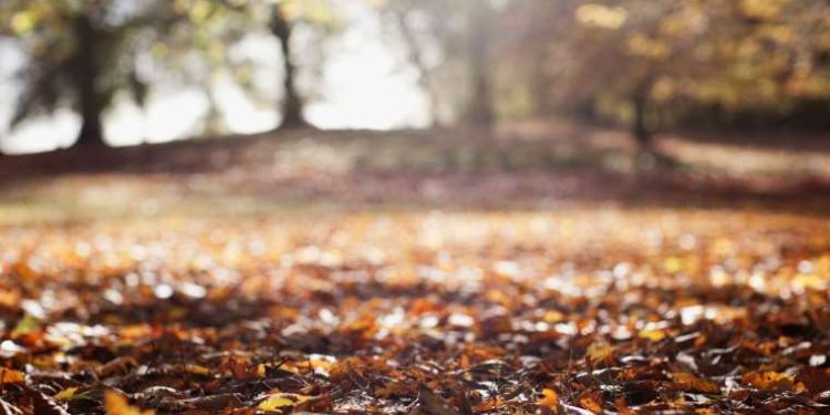 Sonbaharda daha sık hastalanmanın nedenlerinden birisi ‘hüzün’ olabilir