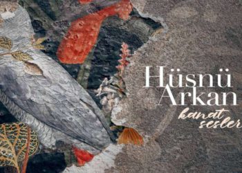 Vitrindeki albümler