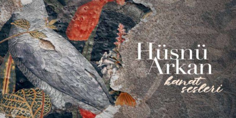 Vitrindeki albümler